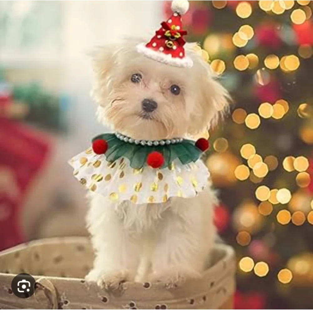 Christmas Party Dog Cat Costume Collar Hat Accessories Adjustable Set Brand New